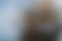 Фотографія квесту Тайна Дэйви Джонса від компанії Побег (Фото 1)