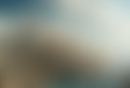 Фотография квеста Орел и решка от компании Аритмия (Фото 1)