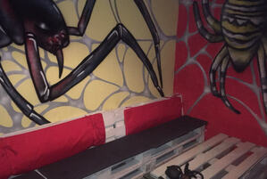 Фотографія квесту У лігві павука від компанії Лабіринт (Фото 3)
